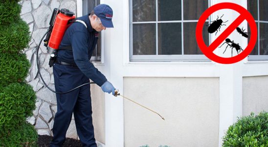 Dalaman Haşere İlaçlama böcek ilaçlama ve haşere kontrolü — ilaclama-tr.com